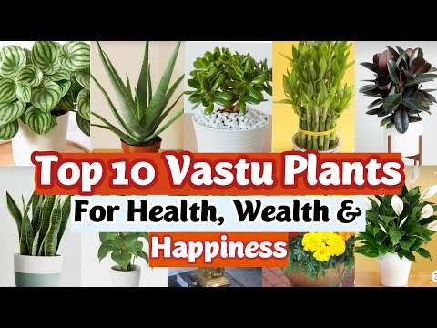 A Florists Guide To Matching Flowers With Vases And Vessels 40% Sale A Florists Guide To Matching Flowers With Vases And Vessels 40% Sale